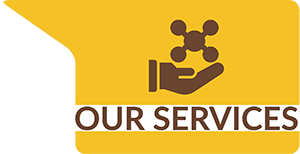 Services provided by Animation Suplement